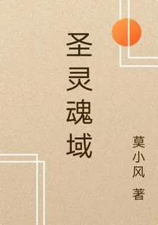 聖靈魂域 封面