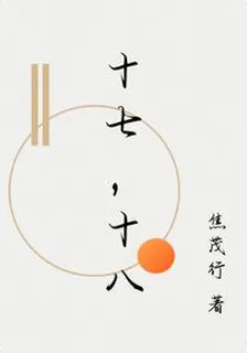 十七，十八 封面
