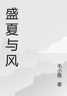盛夏與風 封面
