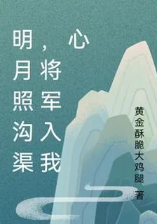 明月照溝渠，將軍入我心 封面