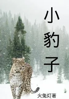 小豹子 封面