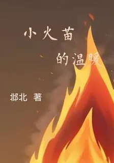 小火苗的溫暖 封面