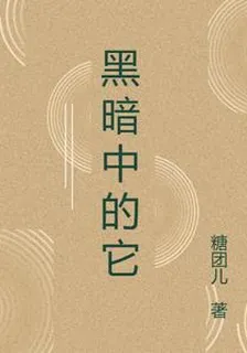 黑暗中的它 封面