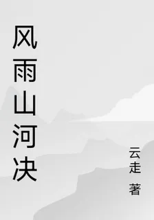 風雨山河決 封面