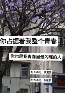 我們是彼此青春裏閃耀的一角 封面