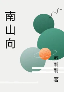 南山向 封面