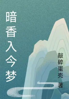 暗香入今夢 封面