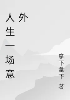 一場意外人生 封面