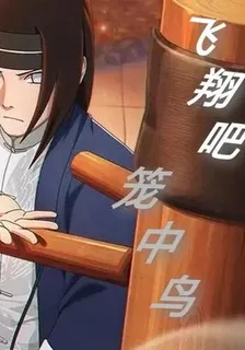 飛翔吧，籠中鳥！ 封面