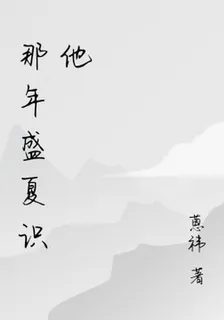 那年盛夏識他 封面