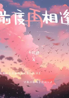 前度再相逢 封面