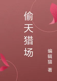 偷天獵場 封面