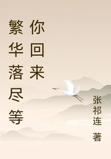 繁華落盡等你回來 封面