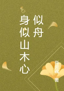 身似山木心似舟 封面
