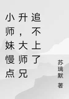 小師妹慢點升，大師兄追不上了 封面