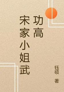 宋家小姐武功高 封面