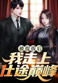 被提拔後，我走上仕途巔峯 封面