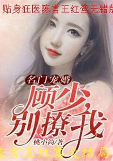 貼身狂醫陳言王紅鸞無錯版 封面