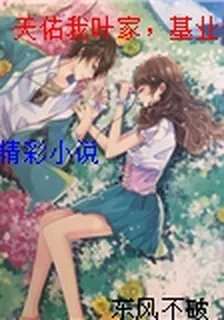 天佑我葉家，基業長青 封面