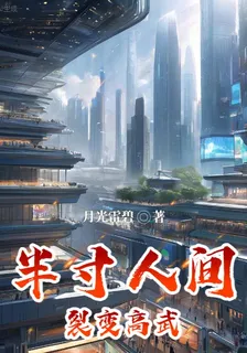 裂變高武：半寸人間 封面