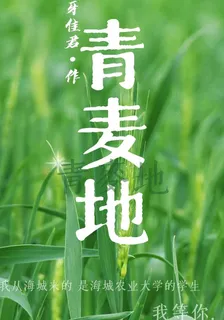 青麥地 封面