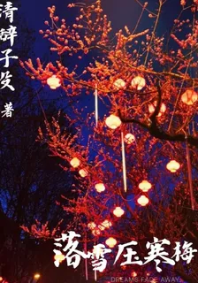 落雪壓寒梅 封面