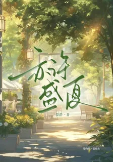 亦許盛夏 封面