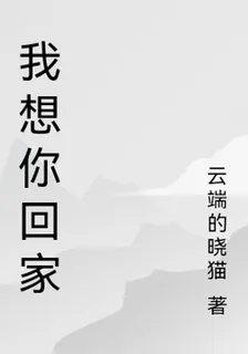 我想跟你回家 封面