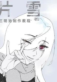 片雪 封面