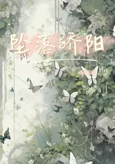 墜落驕陽 封面
