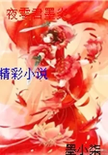 夜零君墨炎 封面