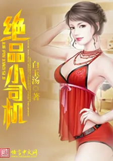 絕品小司機 封面