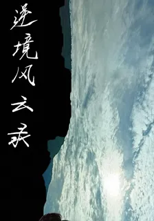 逆境風雲錄 封面
