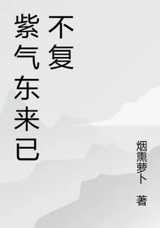 紫氣東來已不復 封面