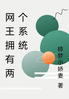 網王擁有兩個系統 封面