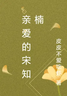 親愛的宋知楠 封面