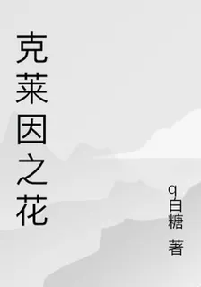 克萊因之花 封面
