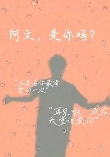 阿文，是你嗎？ 封面