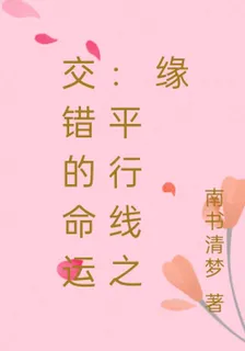 交錯的命運：平行線之緣 封面