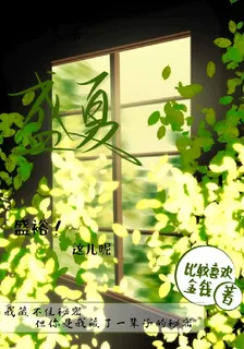 盛夏，怒了！ 封面