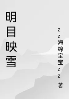 明目映雪 封面