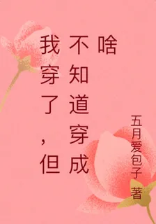 我穿了，但不知道穿成啥 封面