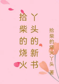 拾柴的燒火丫頭的新書 封面