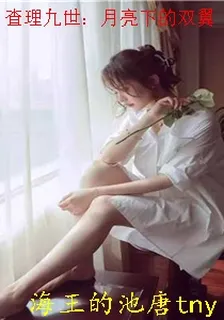 查理九世：月亮下的雙翼 封面
