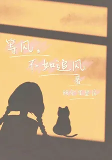 等風，不如追風 封面