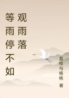 等雨停不如觀雨落 封面