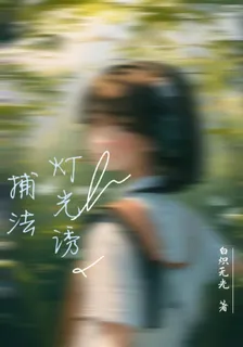 燈光誘捕法 封面