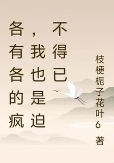 各有各的瘋，我也是迫不得已 封面