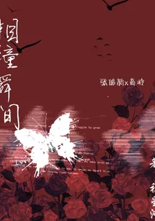 相撞瞬間 封面
