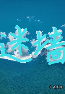 迷牆 封面